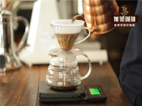What is the third wave of coffee? What is special about the third wave of fine coffee?