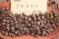 Introduction of Bourbon Coffee from Hirado, Brazil