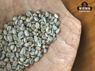 The history of the spread of coffee, how is coffee popular? Why do Europeans like to drink coffee?