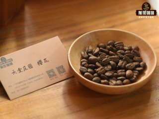 Colombia Huilan Coffee Flavor Features Colombia Coffee Origin Variety Classification