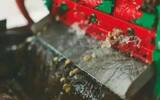 What is the difference between dry and wet double washed coffee treatment? Flavor characteristics of washed coffee in Kenya
