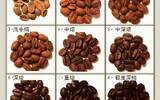 Why do Japanese people like extremely deep roasted coffee so much? The historical story of Japanese baking