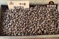 Introduction to espresso coffee beans-sunflower warm sun matching coffee bean flavor evaluation, making espresso tutorial.