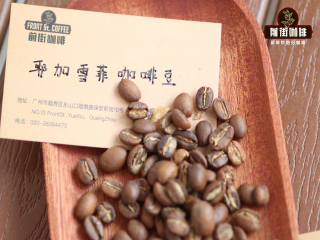 What are the flavor and taste characteristics of Ethiopian coffee beans? introduction to the varieties of Ethiopian Coffee from Sidamo