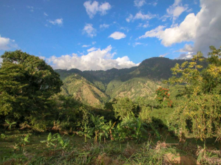 What are the characteristics of the world's most expensive coffee, Jamaican Blue Mountain Coffee? Introduction of Blue Mountain Coffee Manor