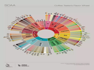 The latest 2017 SCAA coffee flavor wheel HD map_HD version Chinese English coffee flavor wheel origin