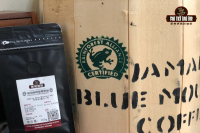 Where is the Blue Mountain planted? introduction to the flavor characteristics of Jamaica Blue Mountain No.1 Coffee