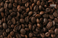 What are the derived varieties of Robusta coffee beans? What are the planting advantages of Robusta coffee beans?