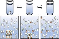 What is the best water temperature for hand-brewed coffee? Effect of brewing temperature on flavor and taste of coffee