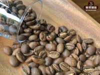 The origin of authentic Kopi Luwak, the introduction of the drinking method of Vietnamese Kopi Luwak, and the effect of Vietnamese Kopi Luwak.