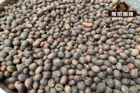 Introduction of Yunnan Coffee which Brand is good and which is Yunnan small Coffee Bean