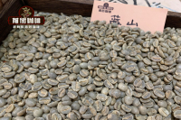 Famous varieties of coffee beans: introduction to the flavor and taste of Jamaica Blue Mountain Coffee
