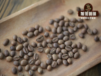 What's the difference between G1 and G2 Yega Xuefei? Classification of coffee beans in Ethiopia