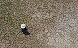 Brazil releases report: More than 1000 cities have severe drought!