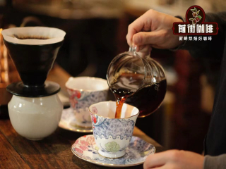 Kopi Luwak | Kopi Luwak hygienic? introduction to Kopi Luwak, Indonesia