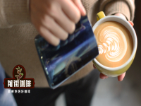 How do beginners practice coffee flower drawing from scratch? 
