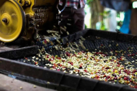 What is the Honey treatment of Coffee beans (honeyprocess) the difference between Honey treatment and Brazilian semi-washing