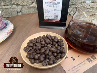 The most famous Coffee beans in the World Coffee beans from Central and South America and their producing areas