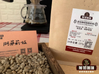 Introduction to the types of coffee beans in Kenya, grown in coffee-producing areas in Kenya