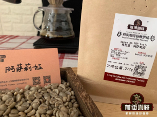 Introduction to the types of coffee beans in Kenya, grown in coffee-producing areas in Kenya