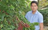 What are the characteristics of Honduras's famous sweet orange coffee estate?