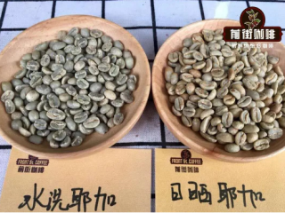 What is Yejashefi Coffee beans suitable for anyone to drink Water and wash Yega Chefe Coffee Taste