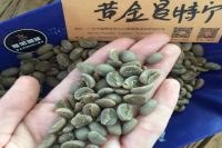 What are the characteristics of mantenin coffee beans? Which brand of mantenin coffee beans is best? Introduction to the origin of gold mantinin.