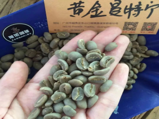 What are the characteristics of mantenin coffee beans? Which brand of mantenin coffee beans is best? Introduction to the origin of gold mantinin.