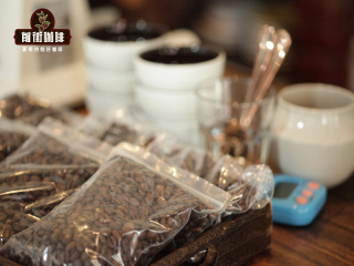 How to drink a cup of Kenyan coffee beans the correct steps: flavor and taste characteristics of Kenyan coffee bean juice