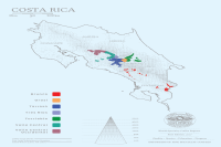 Costa Rican coffee beans| Mozart Boutique Coffee Region Introduction_Musician Series Coffee Bean Flavor Description.