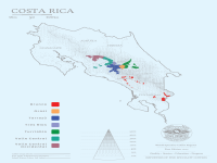Costa Rican coffee beans| Mozart Boutique Coffee Region Introduction_Musician Series Coffee Bean Flavor Description.