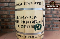 How much is the price of blue mountain coffee? basic knowledge of the characteristics of blue mountain coffee beans