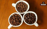 Novice rookies have to learn the technical terms of coffee until! By pass, Crema, Rose Summer, Sakuran, what are these?