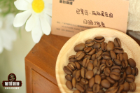 Panama BOP Champion Melon Fruit Estate Sun-treated Rose Summer Coffee Bean Flavor Characteristics Brewing Parameters