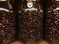Is the oil from coffee beans not fresh? Is the oil leakage of coffee beans normal? How to brew so as not to be bitter?