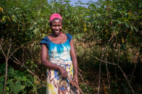 Congolese Coffee | History of Coffee cultivation in the Democratic Republic of the Congo _ introduction to the producing areas of Congolese coffee beans