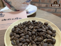 Yunnan small Grain Coffee belongs to Arabica? Yunnan coffee species and flavor and taste characteristics of producing areas