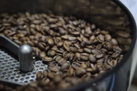 What is the difference between mild, moderate and severe roasting of coffee? What is the difference in the taste of coffee beans with different roasting degree?