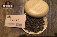 What is the difference between Arabica coffee beans and Kaddura coffee beans? the origin of Kaddura coffee beans is introduced.