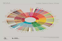 Talk about coffee flavor wheel basic knowledge of coffee culture 2023SCAA coffee flavor wheel high-definition map