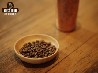 Introduction of Ruby Rose Summer Coffee at Eincht Manor, Guatemala _ Origin of Guatemala Rose Summer