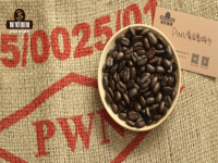 Characteristics of Indonesian Sumatra Gold Manning G1 Coffee beans hand-baked Mantenin Coffee brewing Flavor