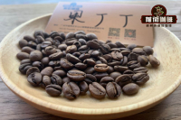 What are the flavor and taste characteristics of fruit and diced coffee beans? Ethiopia Yega Xuefei Coffee beans good?