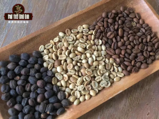 Brewing Share: Sun-washed Ye Jia Xue Fei flavor taste and hand-brewed coffee brewing data sharing