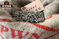 Coffee Flavor and Taste characteristics of pawani Gold Manning Coffee Bean varieties from Indonesia