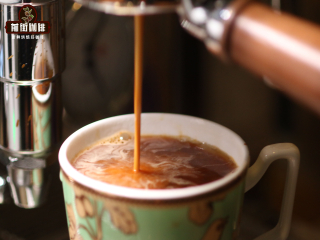 What does soe coffee mean, suitable for hand-brewed coffee or Italian? Taste characteristics of soe and single Coffee beans