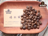 Special introduction and hand-made flavor of American specialty Costa Rican coffee