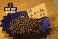 Which brand of Yunnan coffee beans is the best? The main producing areas of coffee beans in Yunnan are introduced, and the characteristics and flavor of coffee beans in Yunnan are evaluated.