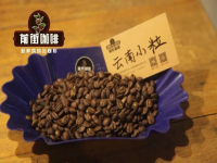 Which brand of Yunnan coffee beans is the best? The main producing areas of coffee beans in Yunnan are introduced, and the characteristics and flavor of coffee beans in Yunnan are evaluated.