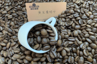 How to judge the quality of coffee beans 6 effective techniques for buying coffee beans